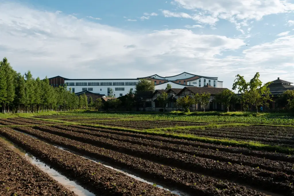 江苏文化传媒行业2025年影视制作技术趋势与创新应用