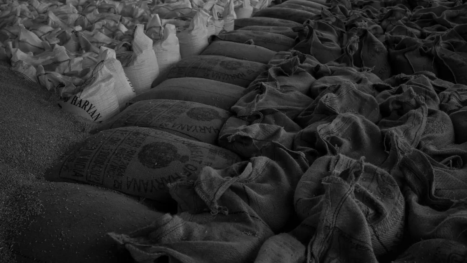 2025年江苏影视制作技术新趋势与行业应用实践