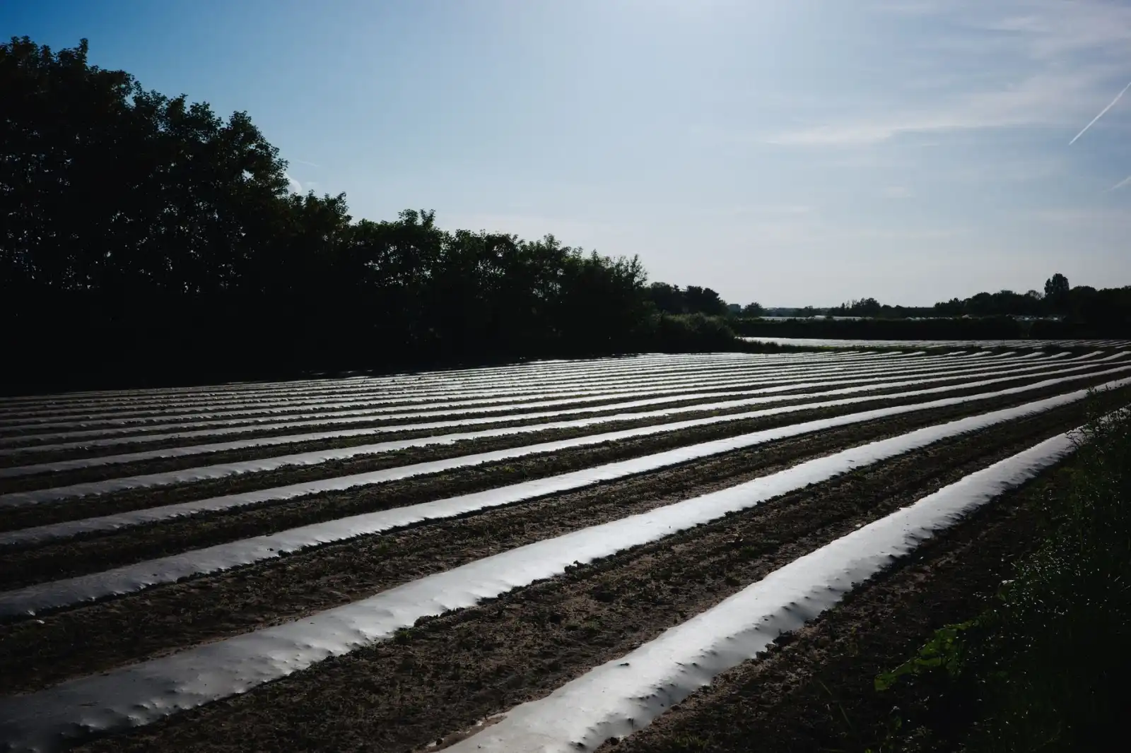活动策划全流程质量管控要点及长三角执行方案