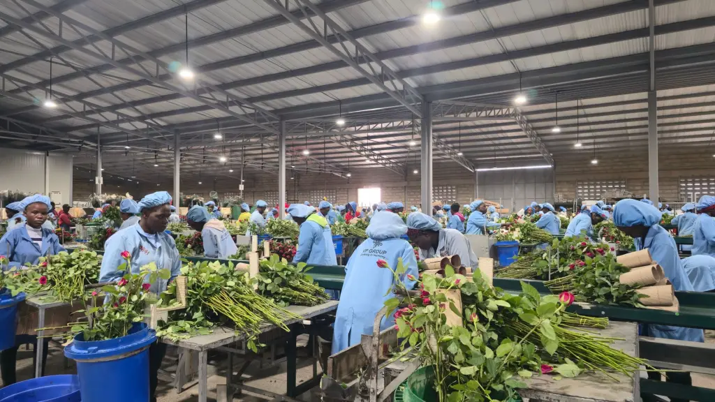 江苏企业宣传片拍摄制作流程与质量管控要点解析