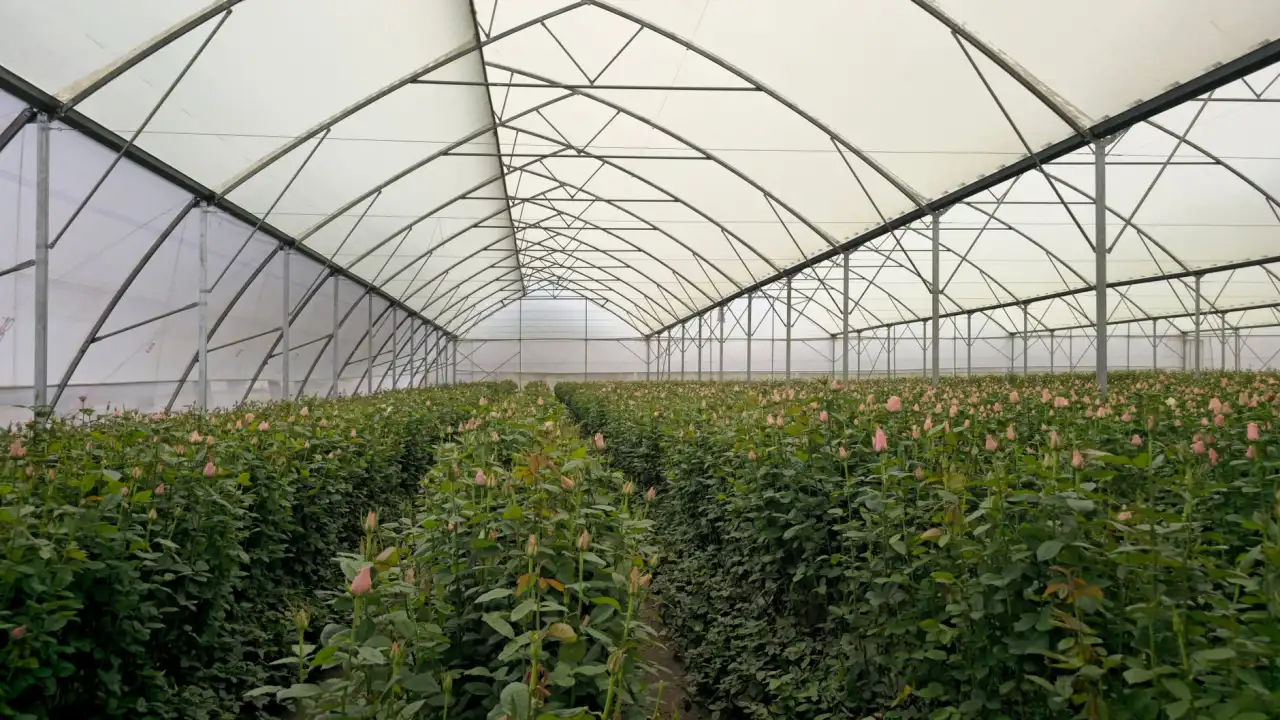 企业宣传片制作方案：江苏天泓文化传媒案例与执行要点
