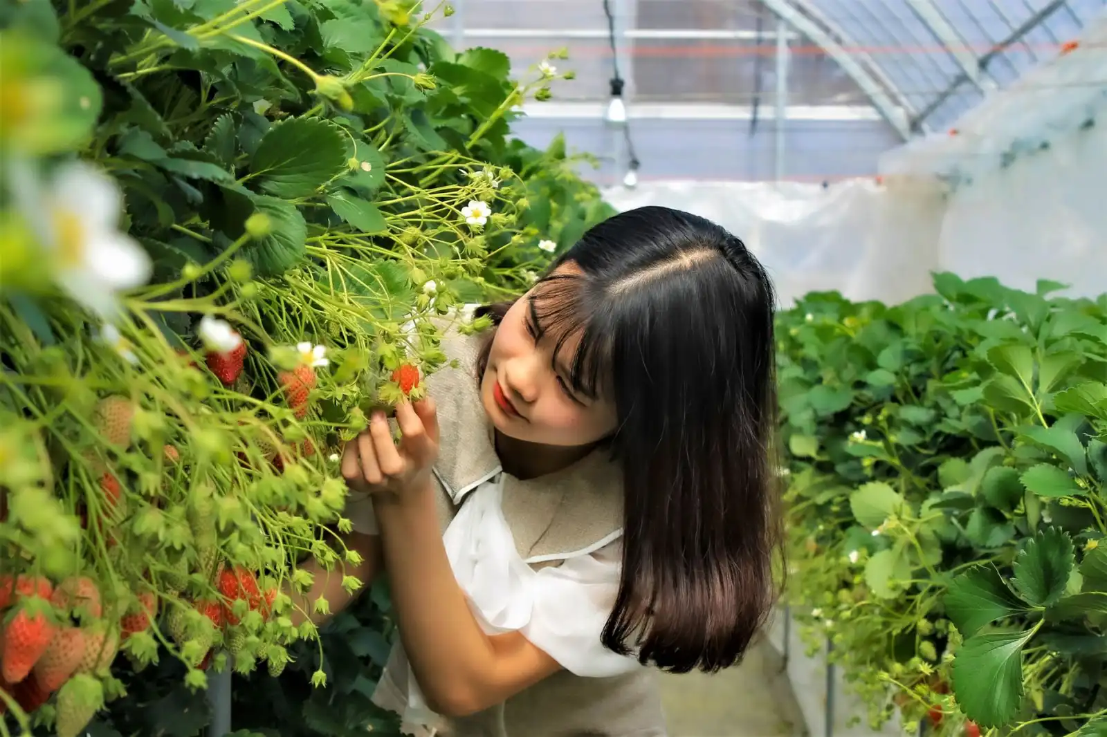 活动策划全流程方案设计要点及常见风险控制策略